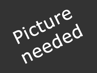 Picture needed here. Picture needed here.